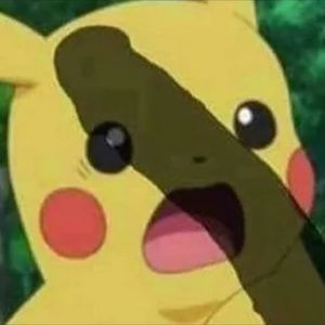 Meet your Posher, Ryder